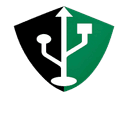 ACES Logo
